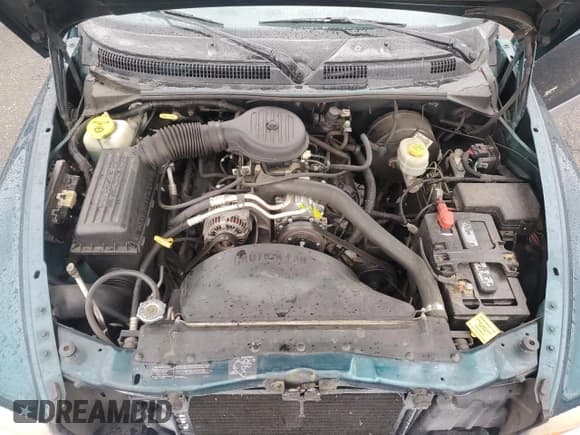 ✅ 1999 Dodge Dakota SLT • VIN: 1B7GL22X8XS268188 • Lot: 58015675. Wystawiony na Copart z przebiegiem 164 998 mil. Bezpłatny archiwum sprzedaży aukcyjnych z USA i szczegółowy raport historii pojazdu na DreamBid. Zdjęcie 11.