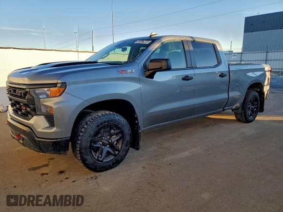 ✅ 2023 Chevrolet Silverado 1500 Custom Trail Boss • VIN: 3GCUDCED3PG280067 • Lot: 93147905. Wystawiony na Copart z przebiegiem 110 004 mil. Bezpłatny archiwum sprzedaży aukcyjnych z USA i szczegółowy raport historii pojazdu na DreamBid. Zdjęcie 1.