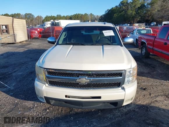 ✅ 2009 Chevrolet Silverado 1500 • VIN: 3GCEC33J49G178179 • Lot: 41810627. Wystawiony na IAAI z przebiegiem 205 823 mil. Bezpłatny archiwum sprzedaży aukcyjnych z USA i szczegółowy raport historii pojazdu na DreamBid. Zdjęcie 12.