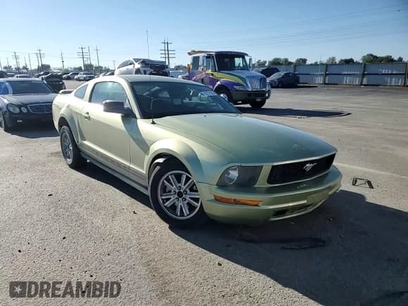 ✅ 2006 Ford Mustang Standard • VIN: 1ZVHT80N165136621 • Lot: 85731305. Wystawiony na Copart z przebiegiem 104 396 mil. Bezpłatny archiwum sprzedaży aukcyjnych z USA i szczegółowy raport historii pojazdu na DreamBid. Zdjęcie 13.