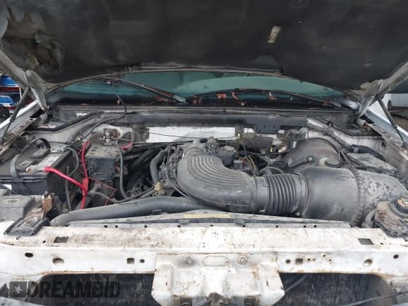 ✅ 2001 Ford F-150 XL • VIN: 1FTRX17W91NA22392 • Lot: 41979352. Listed on IAAI with 277,943 mi. Free auction sales archive from the USA and detailed vehicle history report at DreamBid. Image 10.