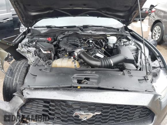 ✅ 2015 Ford Mustang V6 • VIN: 1FA6P8AM3F5355512 • Lot: 43756482. Wystawiony na IAAI z przebiegiem 135 283 mil. Bezpłatny archiwum sprzedaży aukcyjnych z USA i szczegółowy raport historii pojazdu na DreamBid. Zdjęcie 10.