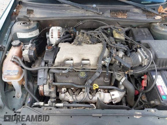 1999 Chevrolet Malibu LS with VIN 1G1NE52M1X6205394, listed as a IAAI auction lot 41514253 with 179,224 mi miles and . Bid and sale history available at DreamBid. Image 10.