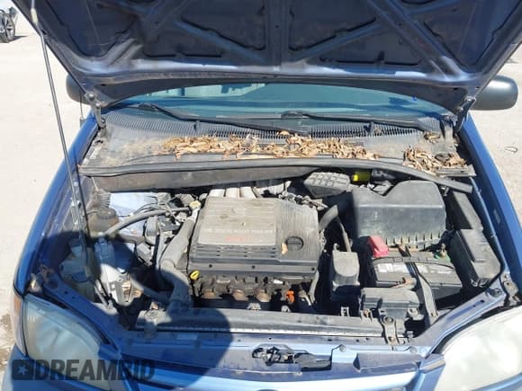 ✅ 2001 Toyota Sienna CE • VIN: 4T3ZF19C81U336694 • Лот: 43674857. Опубликован ранее на IAAI с пробегом 158 134 миль. Бесплатный доступ к архиву аукционных продаж из США и подробный отчёт об истории автомобиля на DreamBid. Изображение 10.