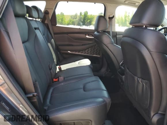 ✅ 2020 Hyundai Santa Fe SEL • VIN: 5NMS3CAA6LH194952 • Lot: 63210793. Wystawiony na Copart z przebiegiem 39 703 mil. Bezpłatny archiwum sprzedaży aukcyjnych z USA i szczegółowy raport historii pojazdu na DreamBid. Zdjęcie 11.