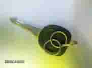 2003 Chevrolet Impala with VIN 2G1WF52E539101715, listed as a IAAI auction lot 43219205 with 147,866 mi miles and . Bid and sale history available at DreamBid. Image 11.