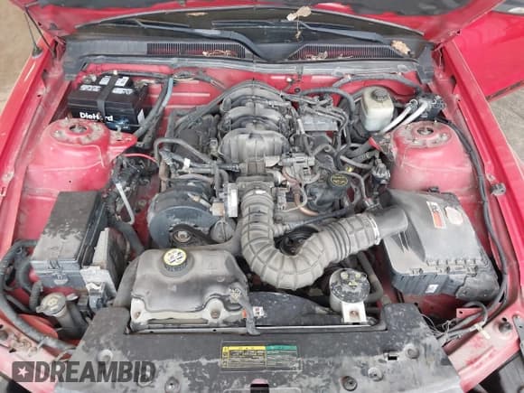 ✅ 2005 Ford Mustang Deluxe • VIN: 1ZVFT80N255233817 • Lot: 43579527. Listed on IAAI with 113,008 mi. Free auction sales archive from the USA and detailed vehicle history report at DreamBid. Image 10.