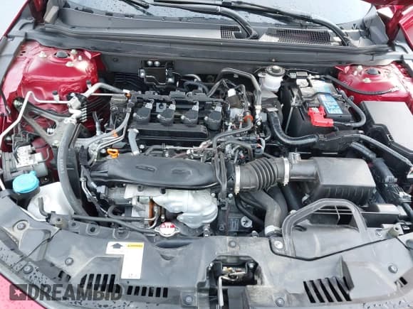 ✅ 2024 Honda Accord EX • VIN: 1HGCY1F3XRA014655 • Lot: 43808420. Wystawiony na IAAI z przebiegiem 12 552 mil. Bezpłatny archiwum sprzedaży aukcyjnych z USA i szczegółowy raport historii pojazdu na DreamBid. Zdjęcie 10.