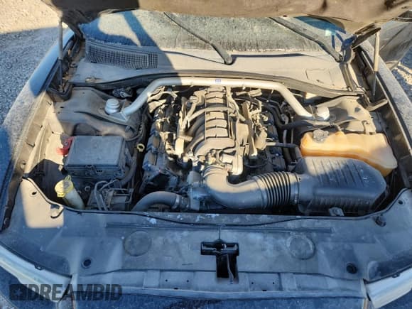 ✅ 2011 Dodge Charger Mopar 11 • VIN: 2B3CL5CT8BH616889 • Лот: 81690625. Опубликован ранее на Copart с пробегом Не указан. Бесплатный доступ к архиву аукционных продаж из США и подробный отчёт об истории автомобиля на DreamBid. Изображение 11.