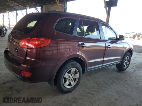 ✅ 2009 Hyundai Santa Fe GLS • VIN: 5NMSG13D39H255215 • Lot: 79679694. Listed on Copart with 175,617 mi. Free auction sales archive from the USA and detailed vehicle history report at DreamBid. Image 3.