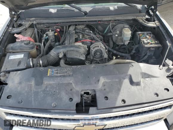 ✅ 2008 Chevrolet Silverado 1500 2LT • VIN: 2GCEC19Y981249814 • Lot: 49619235. Wystawiony na Copart z przebiegiem 179 557 mil. Bezpłatny archiwum sprzedaży aukcyjnych z USA i szczegółowy raport historii pojazdu na DreamBid. Zdjęcie 13.