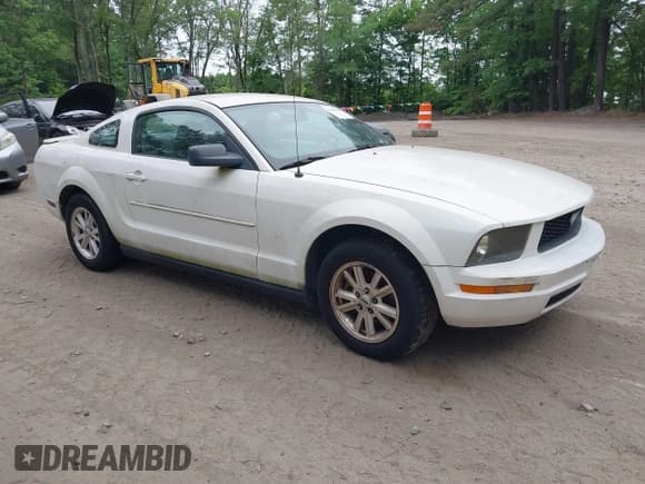 ✅ 2008 Ford Mustang Deluxe • VIN: 1ZVHT80N185208081 • Лот: 42360271. Опубликован ранее на IAAI с пробегом 77 494 миль. Бесплатный доступ к архиву аукционных продаж из США и подробный отчёт об истории автомобиля на DreamBid. Изображение 1.