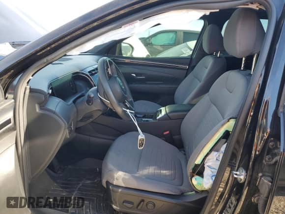 2022 Hyundai Santa Cruz SEL with VIN 5NTJCDAE2NH015267, listed as a Copart auction lot 79953324 with 53,549 mi miles and Non repairable. Bid and sale history available at DreamBid. Image 7.