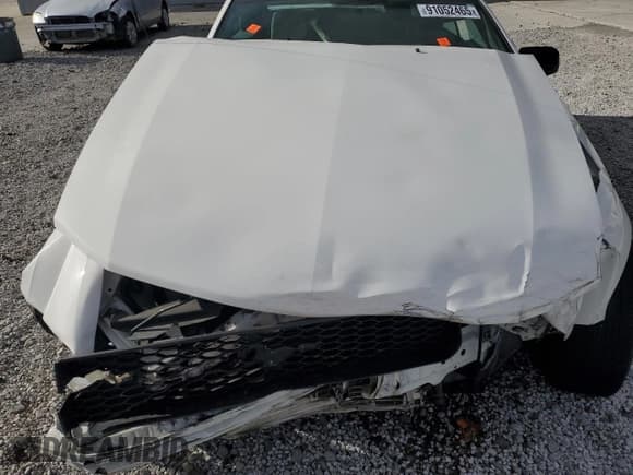 ✅ 2009 Ford Mustang • VIN: 1ZVHT84N195108266 • Лот: 91052465. Опубликован ранее на Copart с пробегом 94 187 миль. Бесплатный доступ к архиву аукционных продаж из США и подробный отчёт об истории автомобиля на DreamBid. Изображение 11.