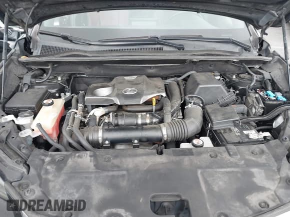 ✅ 2017 Lexus NX 200t • VIN: JTJYARBZ9H2076488 • Lot: 43295667. Listed on IAAI with 122,829 mi. Free auction sales archive from the USA and detailed vehicle history report at DreamBid. Image 10.