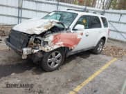 ✅ 2009 Ford Escape Limited • VIN: 1FMCU04759KB79853 • Lot: 43630449. Listed on IAAI with Not provided. Free auction sales archive from the USA and detailed vehicle history report at DreamBid. Image 2.