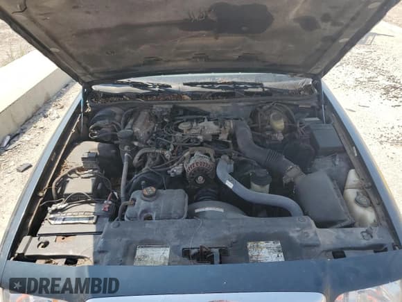 ✅ 1998 Ford Crown Victoria LX • VIN: 2FAFP74W7WX190019 • Lot: 67952115. Wystawiony na Copart z przebiegiem 243 371 mil. Bezpłatny archiwum sprzedaży aukcyjnych z USA i szczegółowy raport historii pojazdu na DreamBid. Zdjęcie 11.