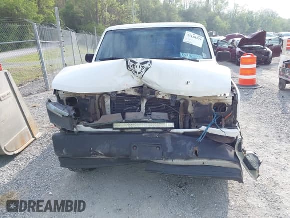 ✅ 1995 Ford F-150 • VIN: 1FTDF15Y2SNA03900 • Lot: 42128479. Wystawiony na IAAI z przebiegiem 262 871 mil. Bezpłatny archiwum sprzedaży aukcyjnych z USA i szczegółowy raport historii pojazdu na DreamBid. Zdjęcie 6.