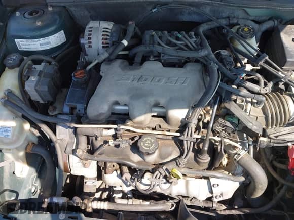 2000 Chevrolet Malibu z VIN 1G1ND52J9Y6318343, wystawiony jako IAAI lot #42784197 z przebiegiem 86 893 mil mil oraz . Historia ofert i sprzedaży dostępna na DreamBid. Obrazek 10.