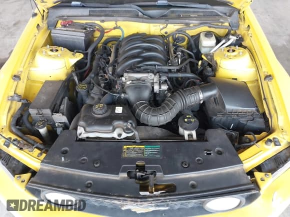 ✅ 2006 Ford Mustang GT Deluxe • VIN: 1ZVHT82H465140329 • Лот: 43529291. Опубликован ранее на IAAI с пробегом 217 608 миль. Бесплатный доступ к архиву аукционных продаж из США и подробный отчёт об истории автомобиля на DreamBid. Изображение 10.