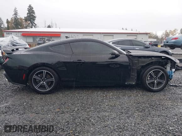 ✅ 2024 Ford Mustang EcoBoost • VIN: 1FA6P8TH4R5109430 • Лот: 43605335. Опубликован ранее на IAAI с пробегом 12 799 миль. Бесплатный доступ к архиву аукционных продаж из США и подробный отчёт об истории автомобиля на DreamBid. Изображение 14.