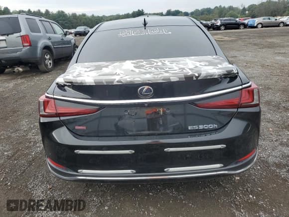 ✅ 2019 Lexus ES 300h Luxury • VIN: JTHB21B18K2025023 • Lot: 81565355. Wystawiony na Copart z przebiegiem 134 956 mil. Bezpłatny archiwum sprzedaży aukcyjnych z USA i szczegółowy raport historii pojazdu na DreamBid. Zdjęcie 6.