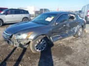 ✅ 2011 Honda Accord EX • VIN: 1HGCP2F70BA033393 • Lot: 43531012. Listed on IAAI with 216,455 mi. Free auction sales archive from the USA and detailed vehicle history report at DreamBid. Image 2.