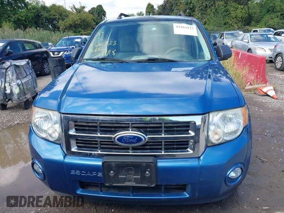 ✅ 2010 Ford Escape XLT • VIN: 1FMCU0D70AKB41824 • Lot: 43263123. Wystawiony na IAAI z przebiegiem 121 884 mil. Bezpłatny archiwum sprzedaży aukcyjnych z USA i szczegółowy raport historii pojazdu na DreamBid. Zdjęcie 6.