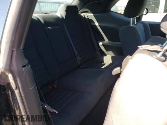 ✅ 2010 Dodge Challenger SE • VIN: 2B3CJ4DV3AH208430 • Lot: 67512574. Wystawiony na Copart z przebiegiem 125 759 mil. Bezpłatny archiwum sprzedaży aukcyjnych z USA i szczegółowy raport historii pojazdu na DreamBid. Zdjęcie 10.