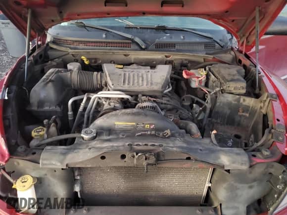 2010 Dodge Dakota SXT with VIN 1D7CW3GP5AS132893, listed as a Copart auction lot 81502524 with 256,032 mi miles and Clean title. Bid and sale history available at DreamBid. Image 11.