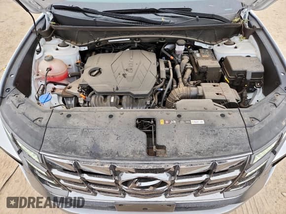 ✅ 2023 Hyundai Tucson N Line • VIN: KM8JF3AE4PU247454 • Lot: 61161905. Wystawiony na Copart z przebiegiem 23 117 mil. Bezpłatny archiwum sprzedaży aukcyjnych z USA i szczegółowy raport historii pojazdu na DreamBid. Zdjęcie 12.