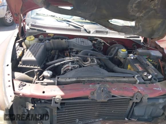 ✅ 1999 Dodge Durango • VIN: 1B4HR28Y5XF513487 • Lot: 42312816. Wystawiony na IAAI z przebiegiem Nie podano. Bezpłatny archiwum sprzedaży aukcyjnych z USA i szczegółowy raport historii pojazdu na DreamBid. Zdjęcie 10.