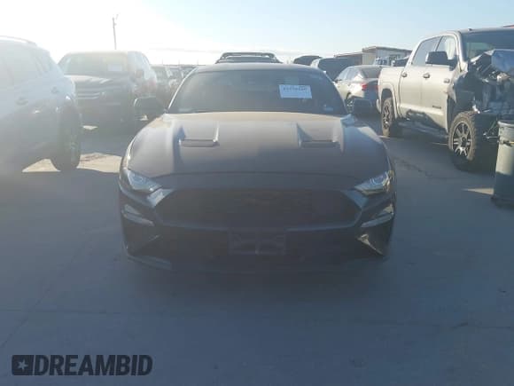 ✅ 2022 Ford Mustang EcoBoost • VIN: 1FA6P8TH5N5134752 • Lot: 43375319. Listed on IAAI with 10,368 mi. Free auction sales archive from the USA and detailed vehicle history report at DreamBid. Image 12.