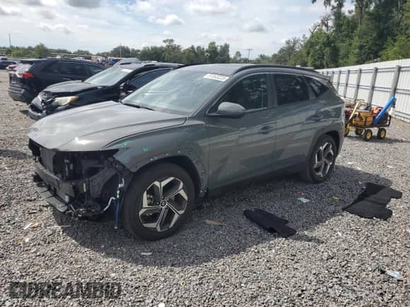 2024 Hyundai Tucson SEL with VIN 5NMJF3DE1RH311248, listed as a Copart auction lot 81043225 with 10,830 mi miles and Salvage title. Bid and sale history available at DreamBid. Image 1.