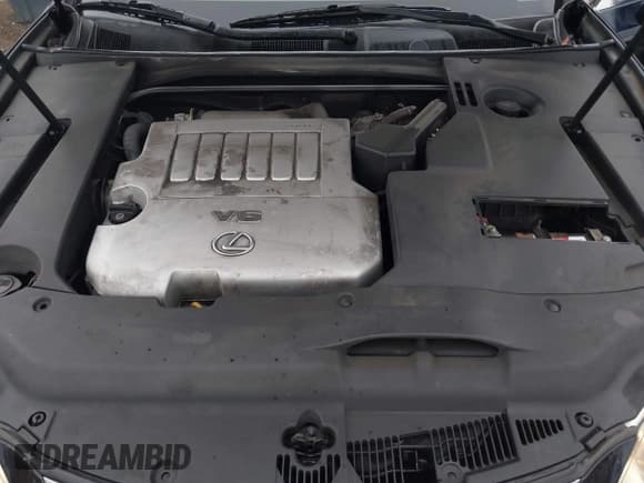 ✅ 2008 Lexus ES 330 • VIN: JTHBJ46GX82172505 • Lot: 43099188. Listed on IAAI with 141,348 mi. Free auction sales archive from the USA and detailed vehicle history report at DreamBid. Image 6.