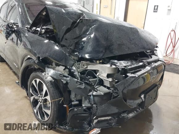 ✅ 2021 Ford Mustang Mach-E Premium • VIN: 3FMTK3SU3MMA28480 • Lot: 43763687. Listed on IAAI with 17,695 mi. Free auction sales archive from the USA and detailed vehicle history report at DreamBid. Image 6.