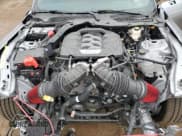 ✅ 2025 Ford Mustang GT • VIN: 1FA6P8CF2S5406264 • Lot: 71981365. Listed on Copart with 892 mi. Free auction sales archive from the USA and detailed vehicle history report at DreamBid. Image 11.