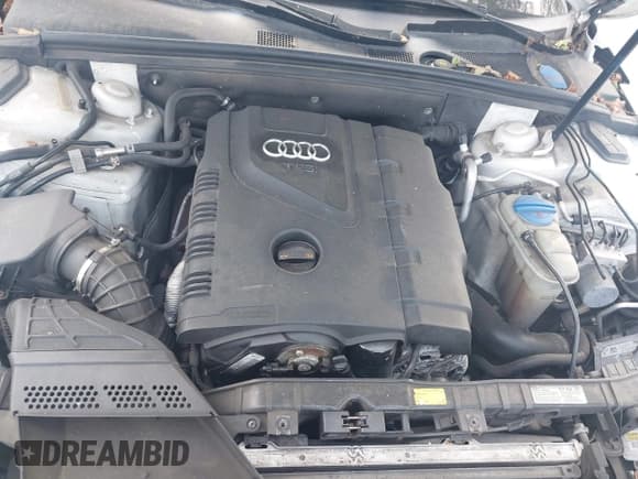 ✅ 2012 Audi A4 Premium • VIN: WAUBFAFL9CN004437 • Lot: 42802834. Listed on IAAI with 137,204 mi. Free auction sales archive from the USA and detailed vehicle history report at DreamBid. Image 10.