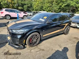 ✅ 2023 Ford Mustang Mach-E GT • VIN: 3FMTK4SE0PMA75064 • Lot: 81575165. Listed on Copart with Not provided. Free auction sales archive from the USA and detailed vehicle history report at DreamBid. Image 1.