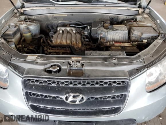 ✅ 2008 Hyundai Santa Fe GLS • VIN: 5NMSG13D08H214510 • Lot: 80250814. Listed on Copart with 209,972 mi. Free auction sales archive from the USA and detailed vehicle history report at DreamBid. Image 11.