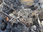 ✅ 2019 Jeep Cherokee Latitude Plus • VIN: 1C4PJLLBXKD151756 • Lot: 85293135. Listed on Copart with Not provided. Free auction sales archive from the USA and detailed vehicle history report at DreamBid. Image 7.