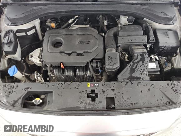 ✅ 2019 Hyundai Santa Fe SE • VIN: 5NMS23AD4KH020406 • Лот: 56236005. Опубликован ранее на Copart с пробегом 107 972 миль. Бесплатный доступ к архиву аукционных продаж из США и подробный отчёт об истории автомобиля на DreamBid. Изображение 12.