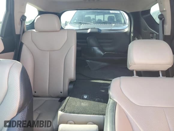 ✅ 2020 Hyundai Santa Fe Limited • VIN: 5NMS53AA4LH227098 • Lot: 73844324. Wystawiony na Copart z przebiegiem 47 260 mil. Bezpłatny archiwum sprzedaży aukcyjnych z USA i szczegółowy raport historii pojazdu na DreamBid. Zdjęcie 10.