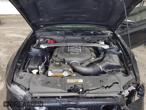 ✅ 2014 Ford Mustang GT • VIN: 1ZVBP8CF1E5283700 • Lot: 43386871. Listed on IAAI with 57,906 mi. Free auction sales archive from the USA and detailed vehicle history report at DreamBid. Image 10.