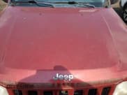 ✅ 2009 Jeep Liberty Rocky Mountain • VIN: 1J8GN28K69W505755 • Lot: 61915125. Wystawiony na Copart z przebiegiem 232 528 mil. Bezpłatny archiwum sprzedaży aukcyjnych z USA i szczegółowy raport historii pojazdu na DreamBid. Zdjęcie 11.