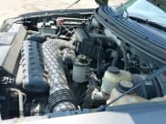 ✅ 2008 Ford F-150 XLT • VIN: 1FTPX14528FA29840 • Лот: 42460070. Опубликован ранее на IAAI с пробегом 91 675 миль. Бесплатный доступ к архиву аукционных продаж из США и подробный отчёт об истории автомобиля на DreamBid. Изображение 19.