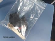 ✅ 2010 Honda Accord LX-S • VIN: 1HGCS1B3XAA017972 • Лот: 43576232. Опубликован ранее на IAAI с пробегом 176 829 миль. Бесплатный доступ к архиву аукционных продаж из США и подробный отчёт об истории автомобиля на DreamBid. Изображение 11.