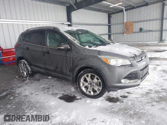✅ 2015 Ford Escape Titanium • VIN: 1FMCU0J9XFUB90014 • Lot: 43812041. Listed on IAAI with 80,666 mi. Free auction sales archive from the USA and detailed vehicle history report at DreamBid. Image 1.