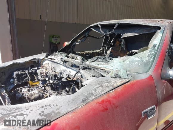 ✅ 1999 Ford F-150 • VIN: 2FTRX18W2XCB13503 • Lot: 42195132. Listed on IAAI with Not provided. Free auction sales archive from the USA and detailed vehicle history report at DreamBid. Image 11.