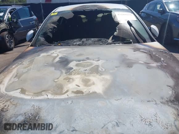 ✅ 2017 Kia Optima • VIN: KNAGT4LE3H5018833 • Лот: 43289621. Опубликован ранее на IAAI с пробегом 35 миль. Бесплатный доступ к архиву аукционных продаж из США и подробный отчёт об истории автомобиля на DreamBid. Изображение 6.